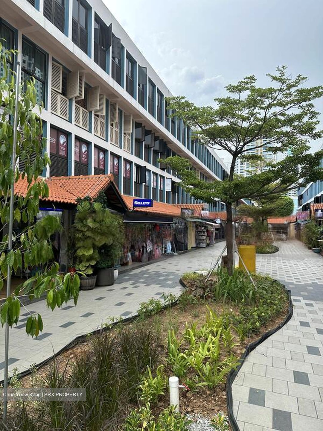 Toa Payoh Central (D12), Shop House #459952651